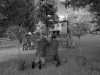 Matrimonio nella campagna Toscana vicino a Siena - Wedding near Siena in Tuscany