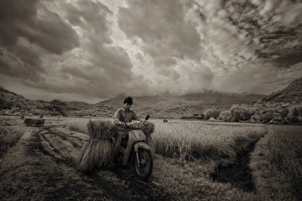 infrared, infrarosso, fotografia, photography, fotografo, viaggio, Vietnam, riso