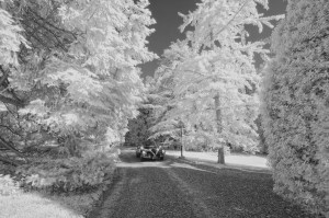 Fotografo, matrimonio, best wedding photographer, Villa Grabau, Lucca, Bologna, Florence, photography, Pisa,, infrared