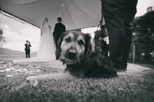 Fotografo di matrimonio, wedding photographer, Castello di Vicchiomaggio, Firenze, Florence, Tuscany, amazing location, stunning venue, luxury wedding