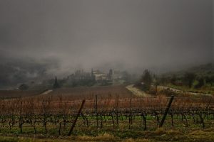 Fotografia e Gin Tonic - edoardo agresti fotografo